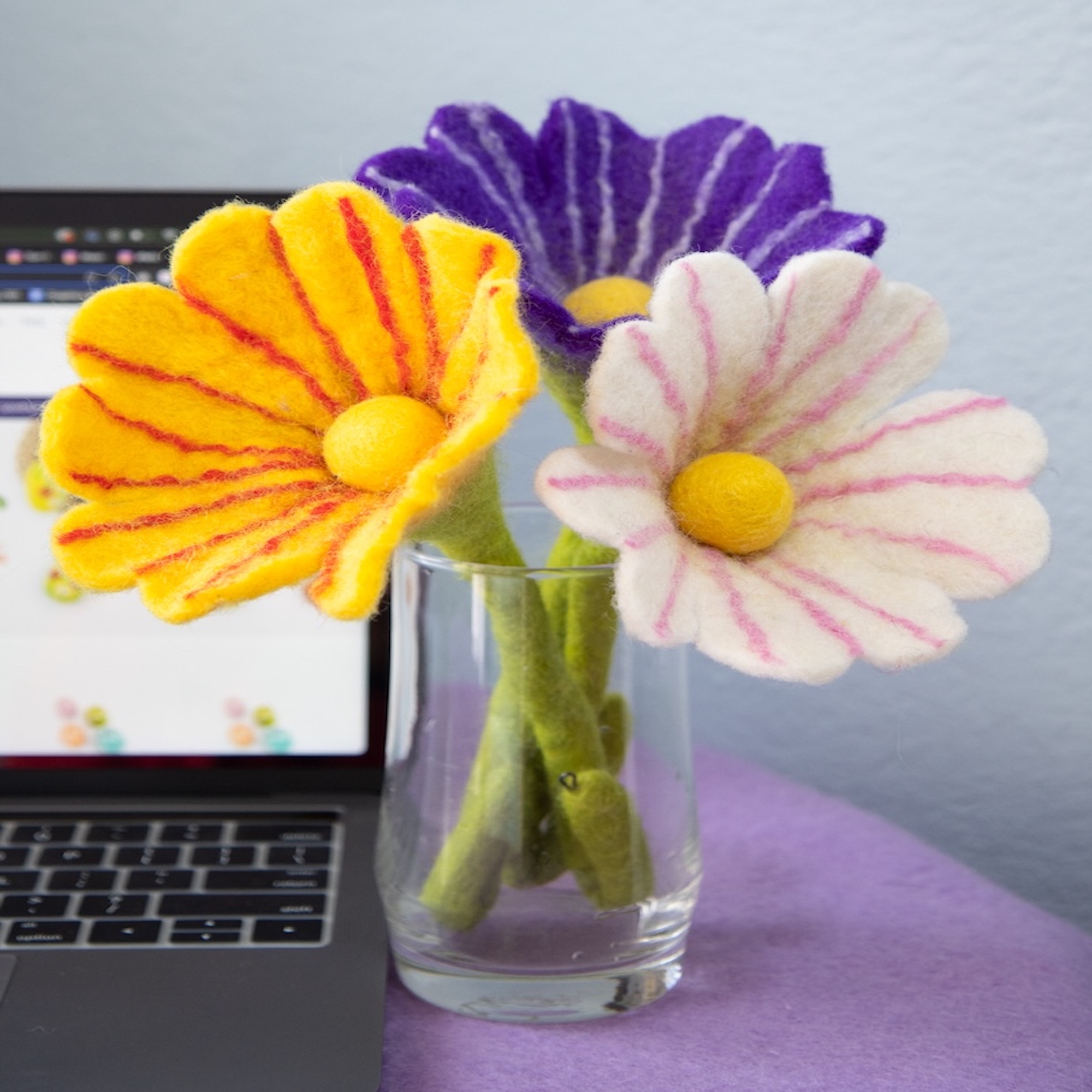 For The Plant Enthusiast